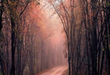 激情澎湃，女足比赛的震撼力无人能逃避