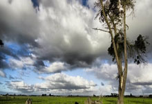 身手矫健的足球勇士们在赛场上一决高下