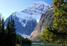 身手矫健的足球勇士们在赛场上一决高下