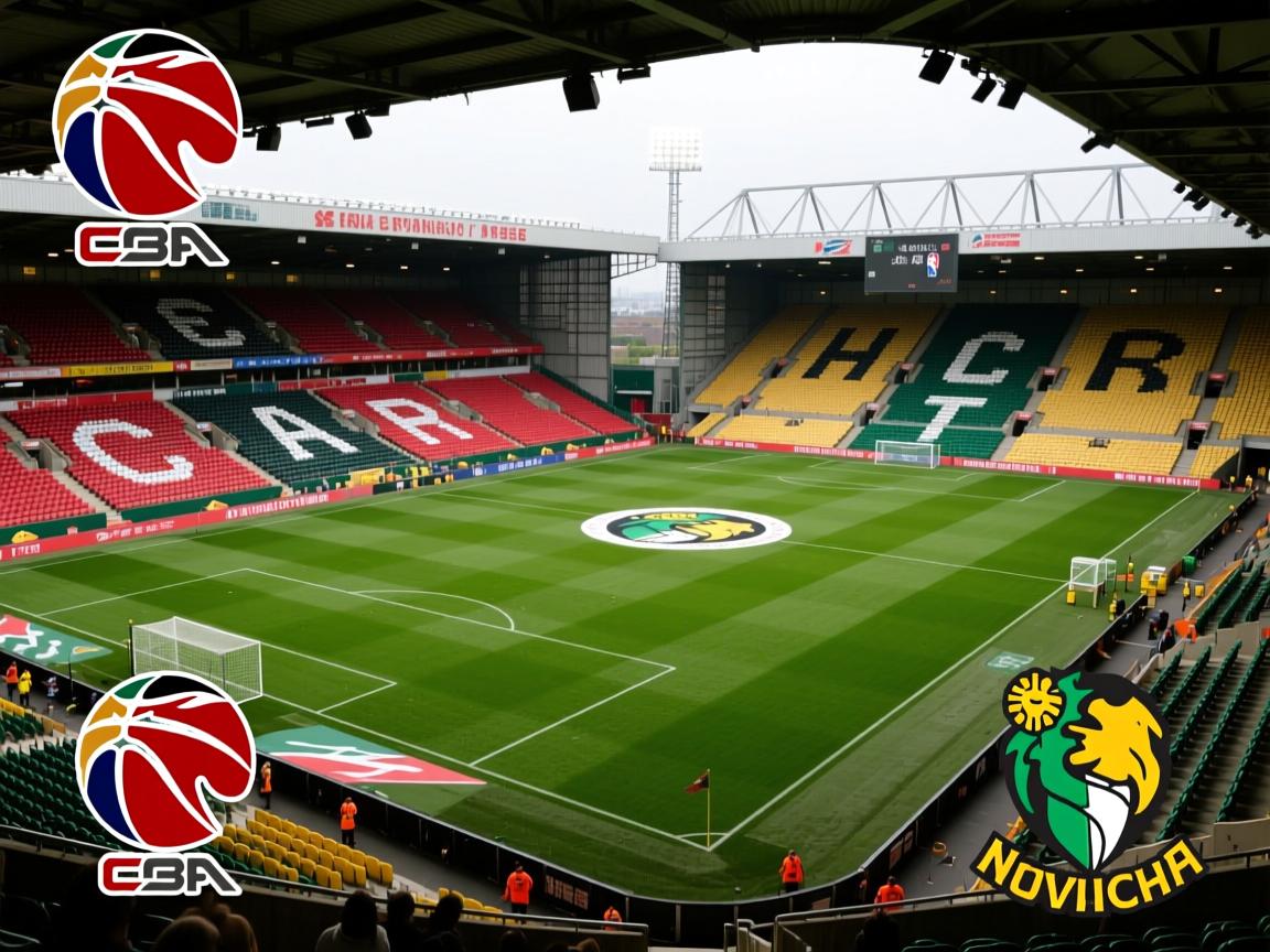 诺里奇主场战平华埜，争取保级分  第4张