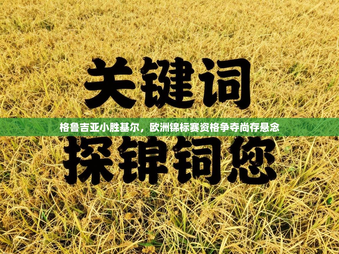 格鲁吉亚小胜基尔，欧洲锦标赛资格争夺尚存悬念  第2张