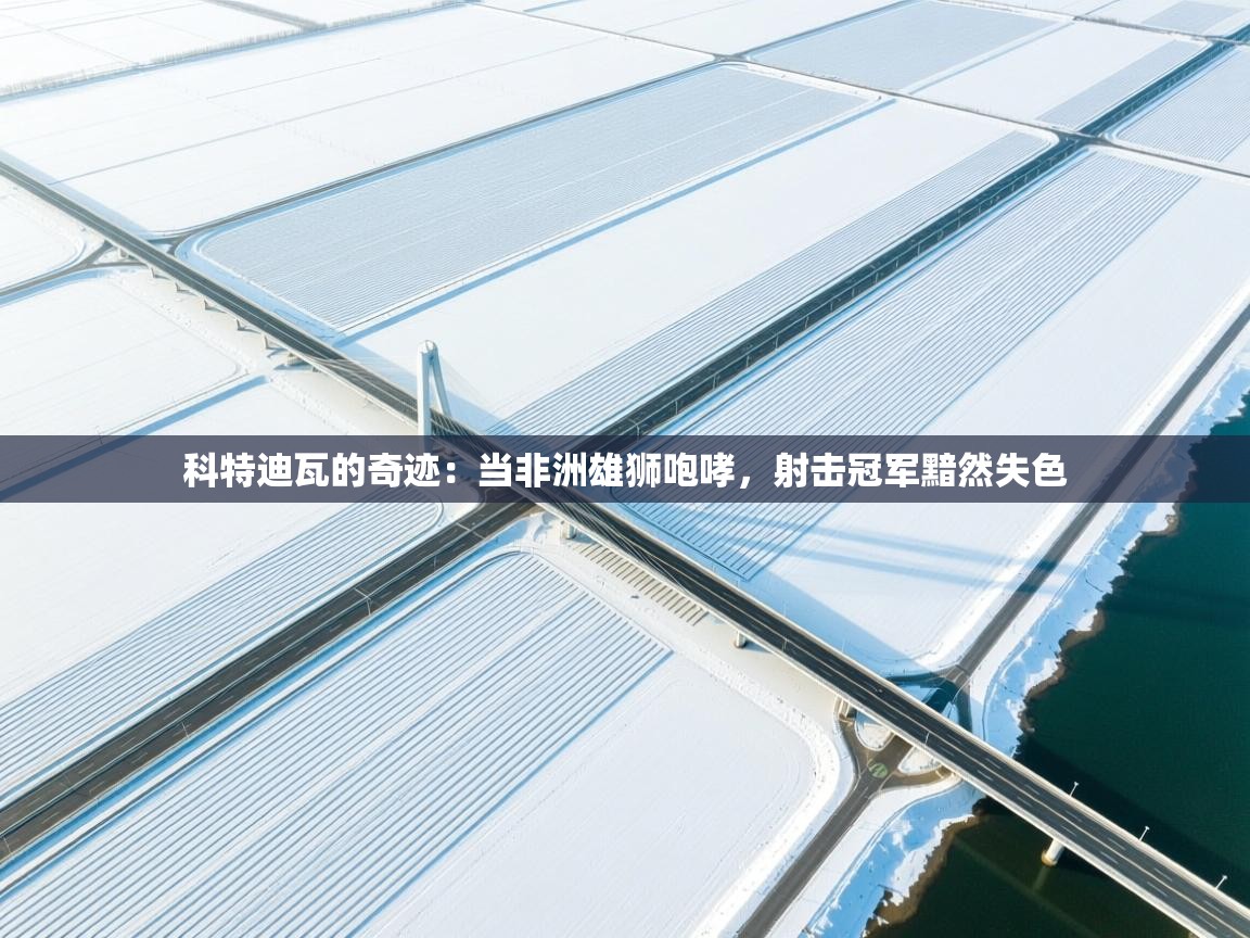 科特迪瓦的奇迹：当非洲雄狮咆哮，射击冠军黯然失色  第2张